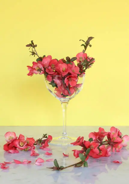 Photo of group of red flowers in goblet glass on marble table