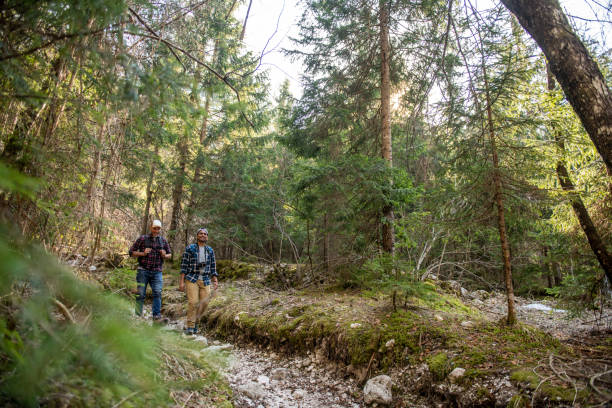 istock Friends hiking in the forest 1388422193