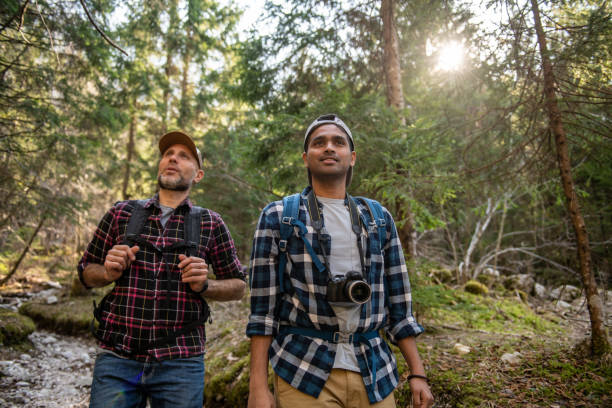 istock Friends hiking in the forest 1388422777