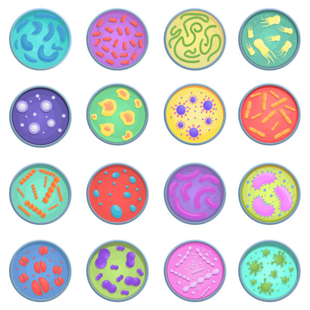 136 Petri Dish Cartoon Illustrations & Clip Art - iStock 136 Petri Dish Cartoon Illustrations & Clip Art - iStock
