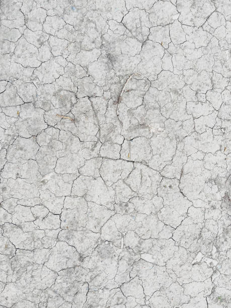 White and very dry sandy soil with cracks. stock photo
