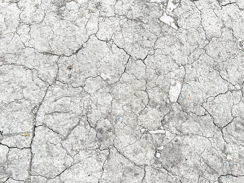 White and very dry sandy soil with cracks.