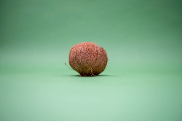 coconut on a green background. Tropical fruit on a turquoise background. Whole