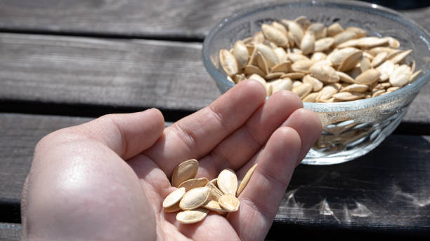 A Handful of Pumpkin Seeds