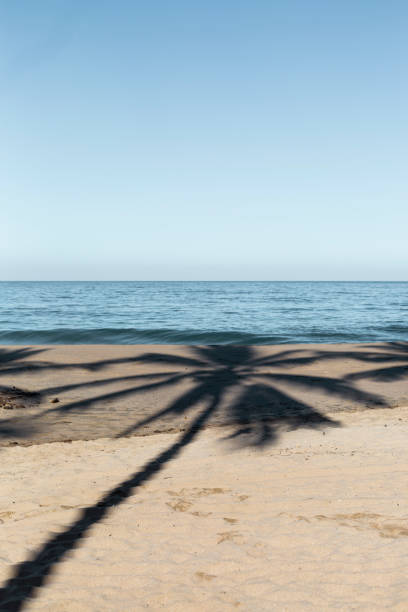 Beach sand background for summer vacation concept. Nature of the beach and sea, summer with sunlight, sandy beach The sparkling sea water contrasts with the blue sky and coconut trees.