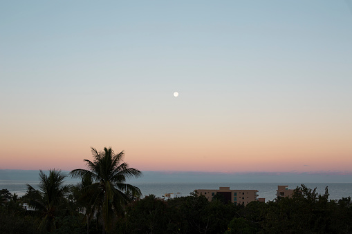 planetary moon, sky, seascape, palm tree