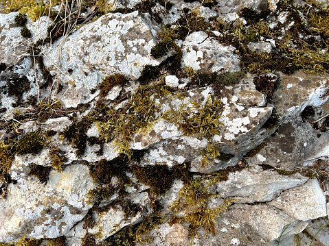 Very sharp, white, and moss-covered stones as a texture or background.