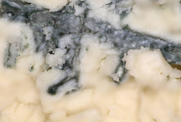 Cut or texture of a blue cheese
