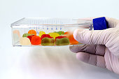 arzt-oder-wissenschaftler-hand-mit-einem-laborkolben-mit-farbigen-jellybeans.jpg?b=1&s=170x170&k=20&c=CUKYsTMIlb8NCEdVDvae0WGOdhLGgQVk9Rqz314U6ik=
