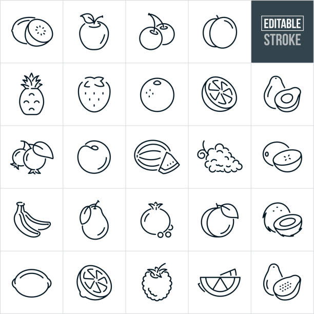 ilustraciones, imágenes clip art, dibujos animados e iconos de stock de iconos de línea fina de frutas - trazo editable - kiwi vegetable cross section fruit