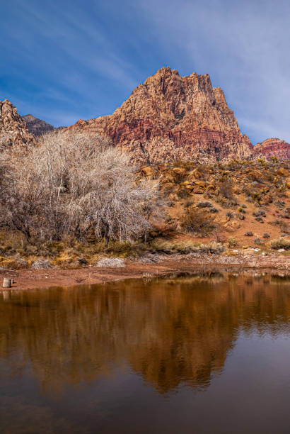 istock Mountain reflected in lake, Red Rock Canyon, Nevada, USA 1388442414