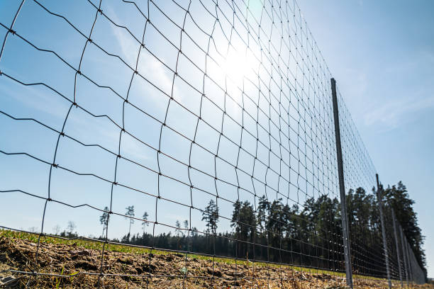 istock Metal barrier mesh for safe animal migration installed along highway 1388445211