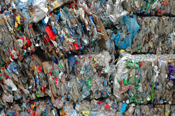 istock Garbage plastic bottles prepared for recycling 1388445999