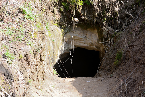 Entrance to the cave. Closeup view, spring season