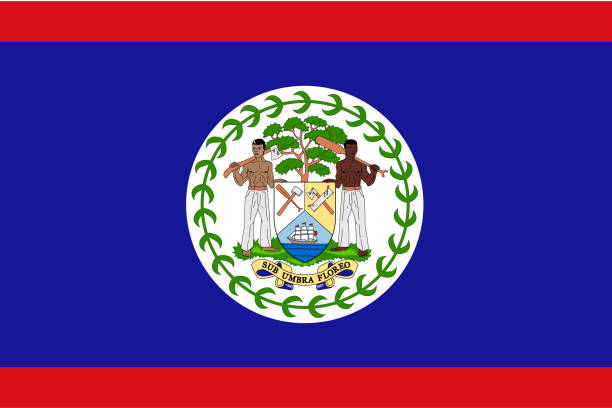 национальный флаг белиза - flag of belize stock illustrations