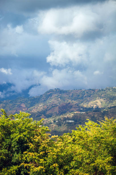 Jungle mountains. Kingston, Jamaica