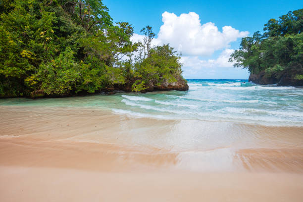 caribbean beach - frenchman's cove, jamaica - tropical rainforest jamaica tropical climate rainforest imagens e fotografias de stock