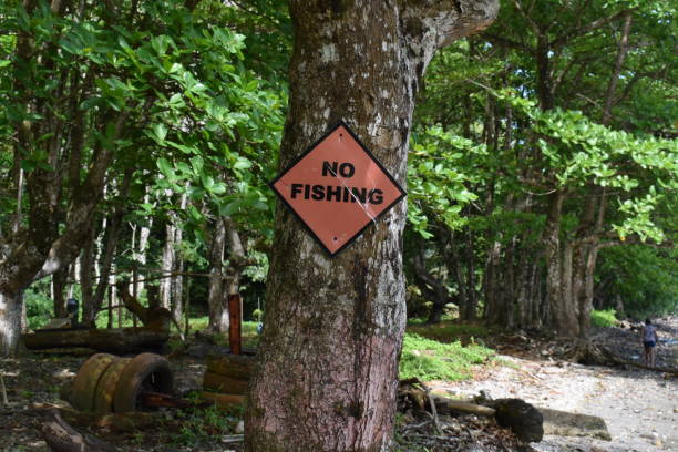 'no fishing' matelot, trinidad and tobago의 나무에 사인 - no fishing 뉴스 사진 이미지