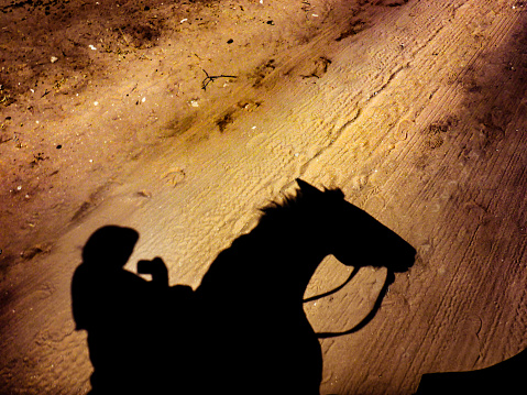 Horseback riding shadow in the savannah