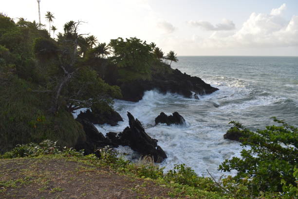 istock Toco Coastline, Trinidad and Tobago 1388466105