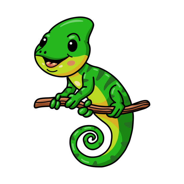 Funny Lizard Stock Photos, Pictures & Royalty-Free Images - iStock Funny Lizard Stock Photos, Pictures & Royalty-Free Images - iStock