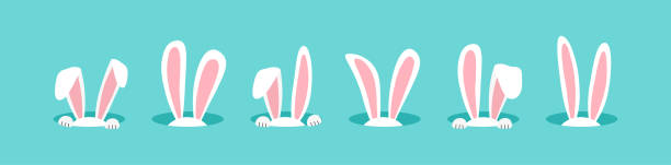 ilustraciones, imágenes clip art, dibujos animados e iconos de stock de icono vectorial de conejo de pascua, conejo en agujero, orejas de dibujos animados. linda ilustración animal - madriguera