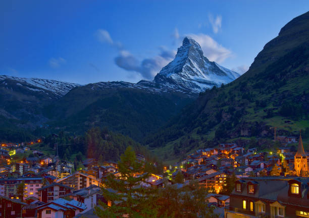 Flock of sheep on the meadow under Matterhorn in Walais Alps, Switzerland.
