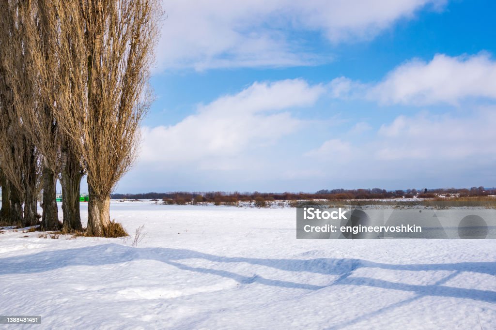 Winter landscape  in central Russia Winter landscape in the forest-steppe zone of Central Russia. Tambov province Agricultural Field Stock Photo