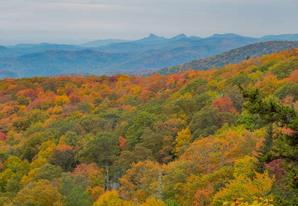 istock Blue Ridge Parkway in autumn 1388481592