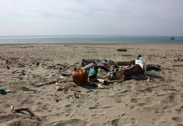 Environmental pollution at Torre del Lago