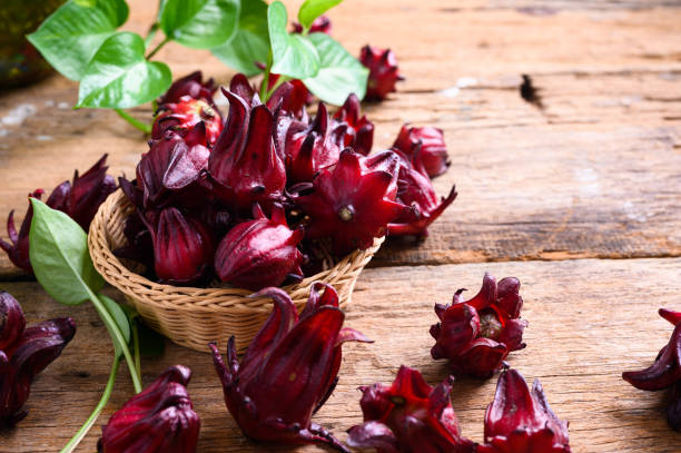 Hibiscus sabdariffa or roselle fruits stock photo