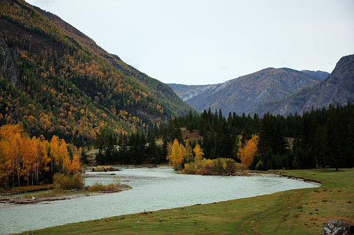 A bend of a turquoise beautiful river flowing through an autumn valley surrounded by mountains. Chuya river, Altai, Siberia, Russia.