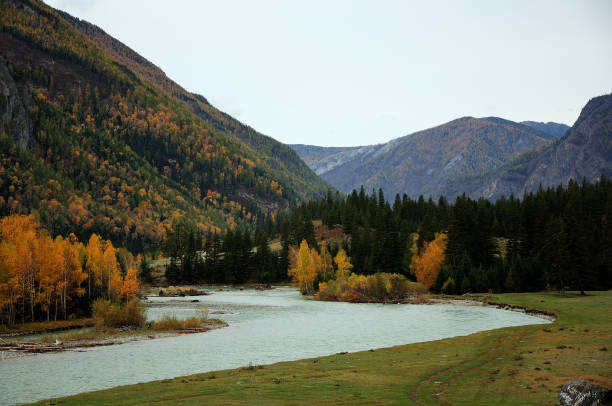 A bend of a turquoise beautiful river flowing through an autumn valley surrounded by mountains. A bend of a turquoise beautiful river flowing through an autumn valley surrounded by mountains. Chuya river, Altai, Siberia, Russia. altai republic photos stock pictures, royalty-free photos & images