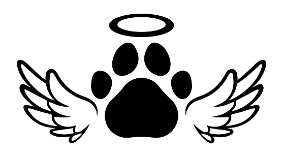 Vector Paw With Wings and Halo Illustration