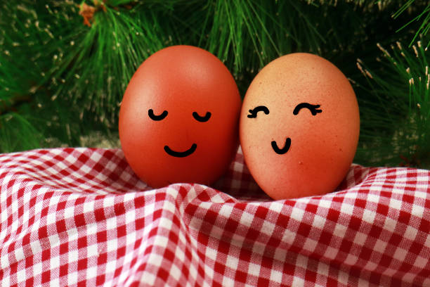 Photo studio of Easter Holiday Concept Two Eggs Smile Happiness on a Red Napkin with Green Spruce Background