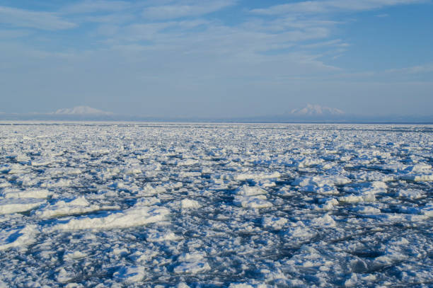 istock Sea of drift ice 1388494310