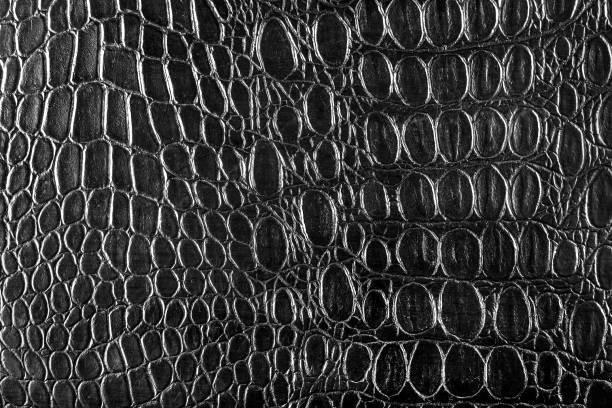 istock Background texture of black crocodile skin. 1388498892