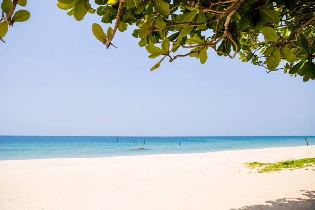 istock Sunny day on the beach, summer holiday destination 1388502829