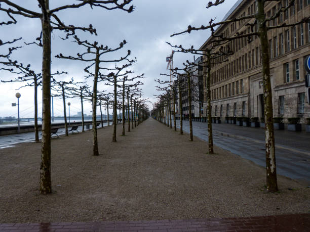istock Walkpath and trees near to the river in winter 1388505725