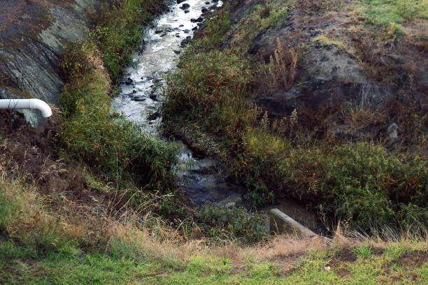 White drain pipe over storm water drain between grassy verge in Auckland New Zealand