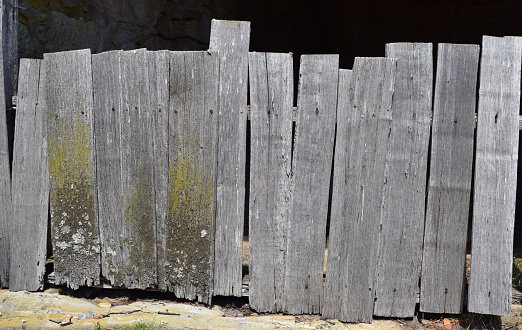 An old uneven fence made of rickety palings that have suffered with time.