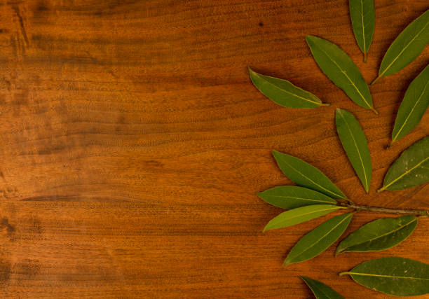Bay leaves on wood background