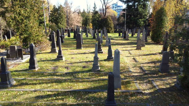 arial drohnen-blickflug über alten friedhof mit grabsteinen, grabsteinen, pfeilen - san francisco national military cemetery stock-fotos und bilder