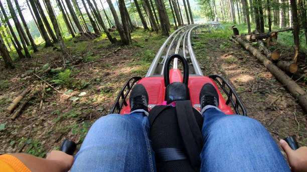 人は木々の間の森の中の山でそりを速いローデルバーンに乗る - bobsledding ストックフォトと画像
