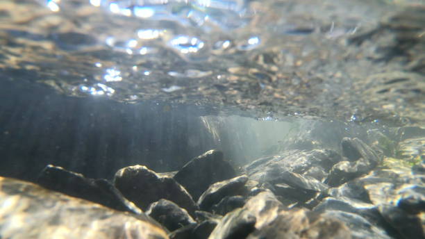 istock Flowing water, skylight of sun through water, stones lying at bottom 1388509719
