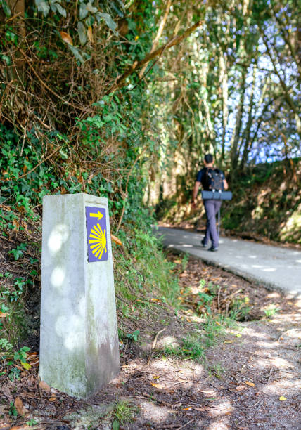 segnaletica del cammino di santiago con pellegrino a piedi - st james way foto e immagini stock