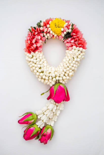 Jasmine garland on a white background.