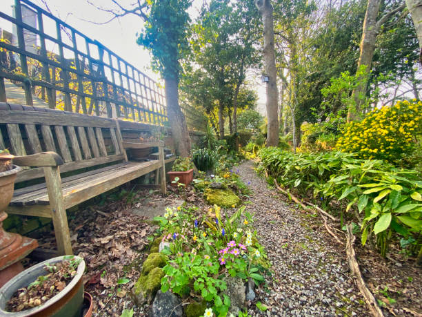 istock English garden path through the trees 1388519176