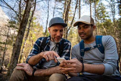 Friends exploring Alps and using a phone during a hike in the forest