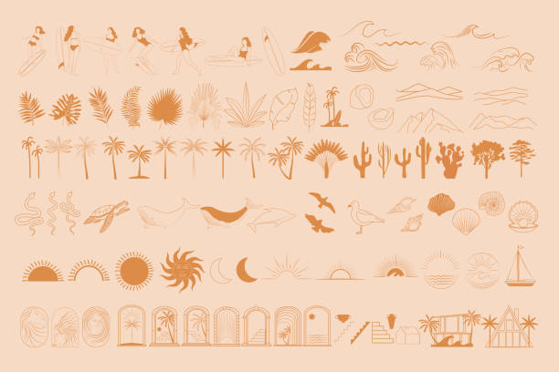 sammlung von linearen summer sea icons - boho stil stock-grafiken, -clipart, -cartoons und -symbole